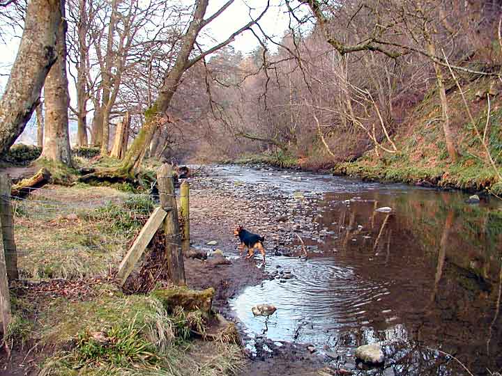 River Derwent