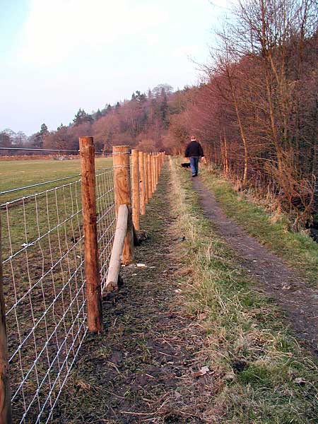 River Derwent