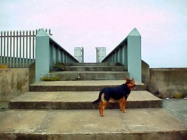 Coastal Walk