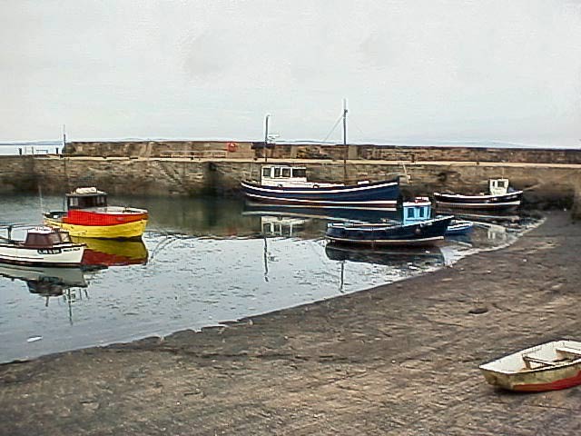 Coastal Walk