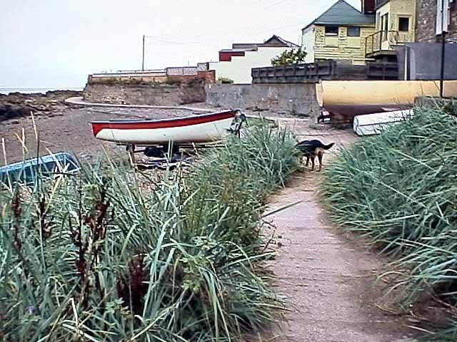 Coastal Walk