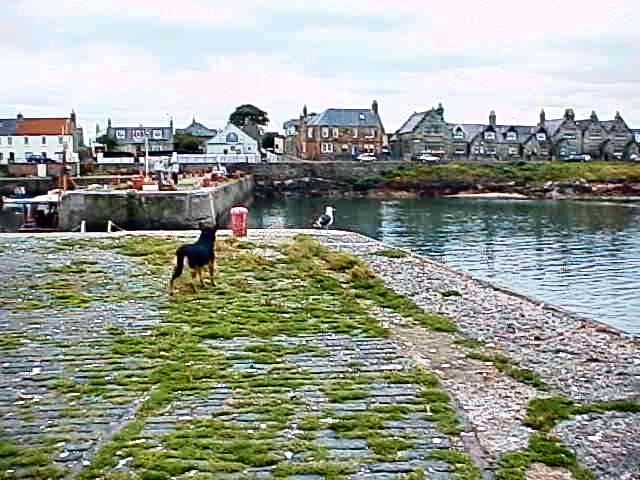 Coastal Walk