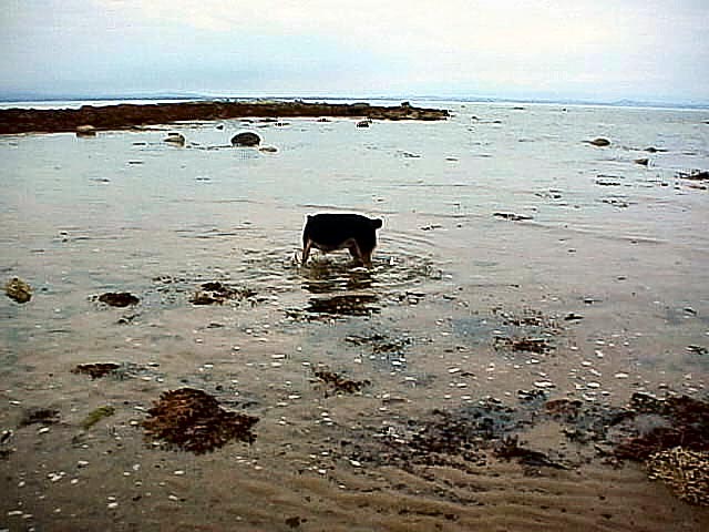 Coastal Walk