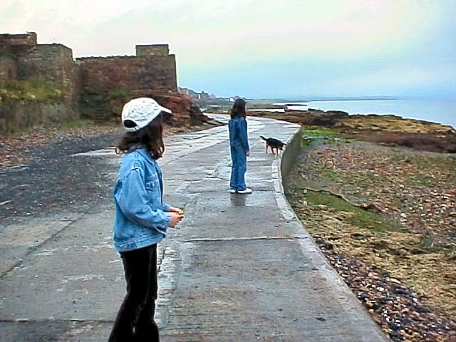 Coastal Walk