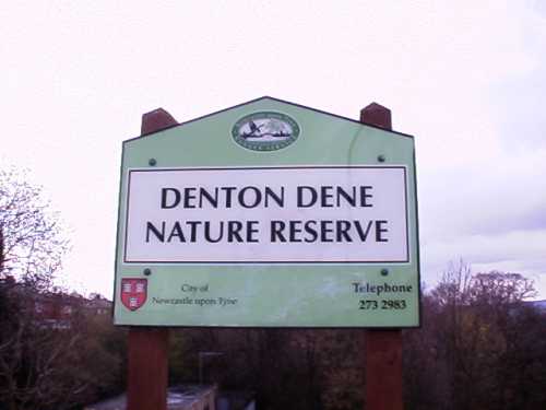Denton Dene