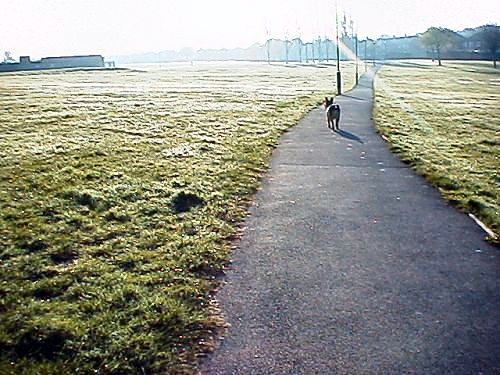 Daily Walk