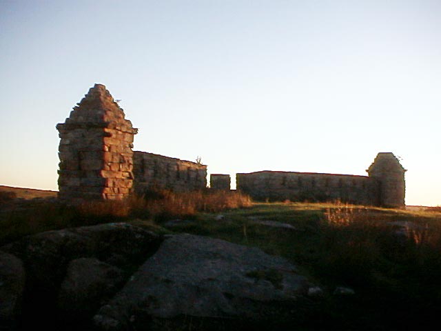Codger Fort