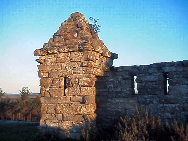 Codger Fort