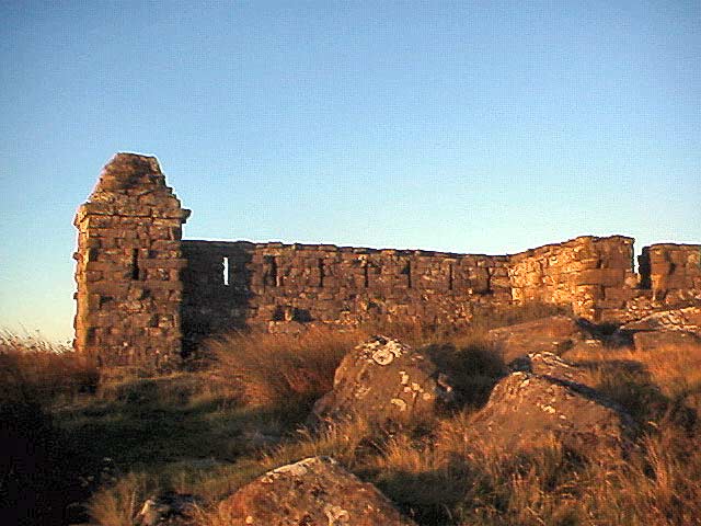 Codger Fort