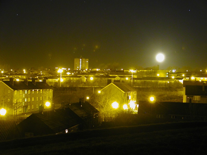 Photo of the week