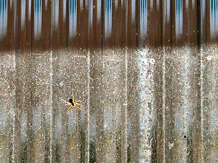 Photo of the week