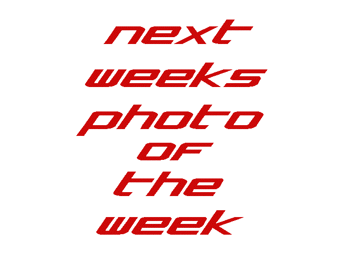next weeks photo of the week