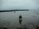 Coastal Walk 25 (5k)
