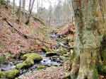 High Force