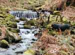 High Force