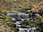 High Force