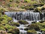 High Force